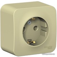 Розетка Schneider Electric BLNRA010117