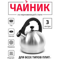 Чайник со свистком TimA WTK196