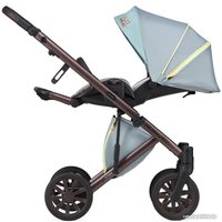 Универсальная коляска Anex E/type Special edition (2 в 1, Victor Wilson ET-SE02)