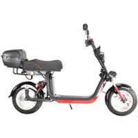 Электроскутер White Siberia CityCoco WS-Pro Max 3950W 21Ah (с черными брызговиками) в Бресте