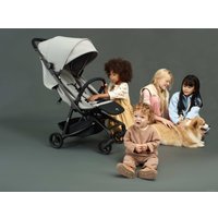 Коляска прогулочная «книга» Anex Air-z (mist Az-03)