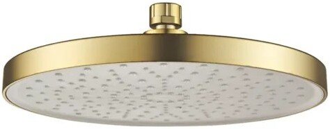 

Верхний душ Shevanik SH43G