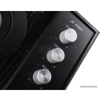 Акустика F&D R216