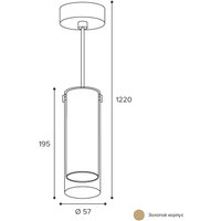 Подвесная люстра Wolta WSL-GU10/P07G
