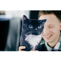 Игрушка-подушка Мальвина Чмоня кот мини