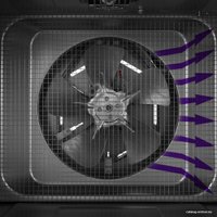 Сушилка для овощей и фруктов Kitfort KT-1916