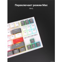 Клавиатура Royal Kludge RK-R87 RGB (белый, RK Red)