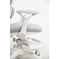 Компьютерное кресло ErgoSmart Antey с чехлом (салатовый)