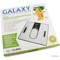 Напольные весы Galaxy Line GL4852