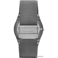 Наручные часы Skagen SKW6078