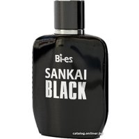 Туалетная вода BI-ES Sankai Black EdT (100 мл)