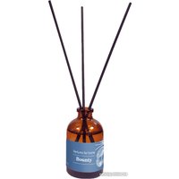 Аромадиффузор Solex Баунти (50 мл)