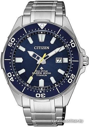 Наручные часы Citizen BN0201-88L