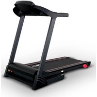 Электрическая беговая дорожка Everyfit 74305A