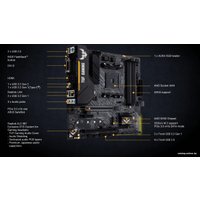 Материнская плата ASUS TUF Gaming B450M-Plus II