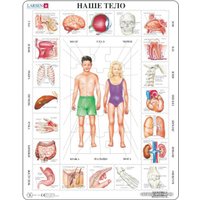 Мозаика/пазл Larsen Наше тело OB1-RU