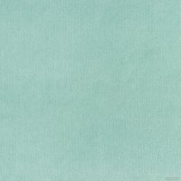 Плед Этель 9849738 (180x200, мятный)