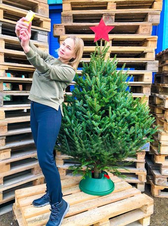 HD Nordic Trees Фразера Датская Премиум (1.2-1.5 м, срезанная)