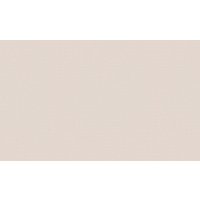 Виниловые обои Белвинил Перья фон 51 10СБ11