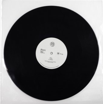 Защитные пакеты для винила Radiotehnika Внешний антистатический конверт для виниловых пластинок (LPDE) LPA006