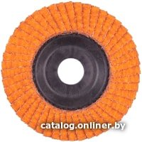 Шлифовальный круг Milwaukee 4932472229