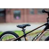 Детский велосипед Lenjoy Sports Shadow 18 LS18-12GL (черный/желтый)