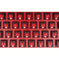 Клавиатура Corsair Strafe (Cherry MX Red) [CH-9000088-RU]