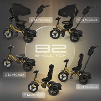 Детский велосипед Nuovita Bamzione B2 Premio (черное золото)