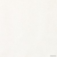 Виниловые обои Erismann Profi Deco 60462-02