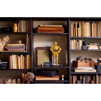 Конструктор LEGO Star Wars C-3PO™ 75398