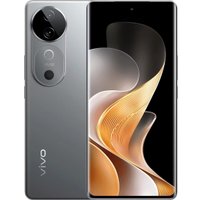 Телефон Vivo V40 12GB/256GB международная версия (титановый серебристый)