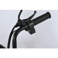 Электровелосипед Smart Balance Fiesta Pro 2025