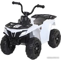 Электроквадроцикл Rant Basic REC-002-W (белый) в Гомеле