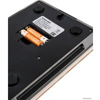 Кухонные весы TDM Electric Апельсины SQ4025-0003