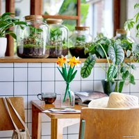 Конструктор LEGO Creator Expert 40646 Нарциссы