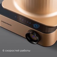 Кухонный комбайн Redmond (Редмонд) FP608 (бронза)