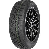 Зимние шины Autogreen Snow Chaser AW02 255/45R20 105T