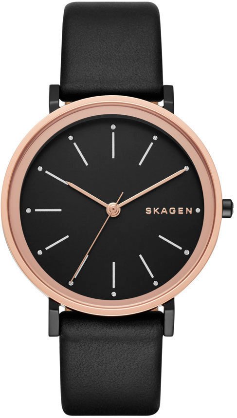 

Наручные часы Skagen SKW2490