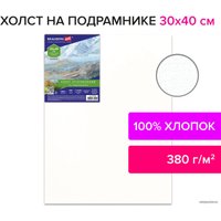 Холст для рисования BRAUBERG Art 192196