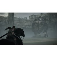  Shadow of the Colossus для PlayStation 4