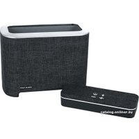 Беспроводная колонка Mac Audio BT Elite 5000