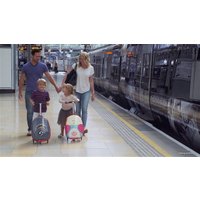 Трехколесный самокат Zinc Flyte Panda