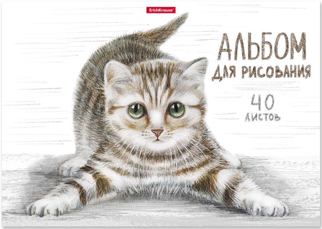 

Альбом для рисования Erich Krause Tabby 49844