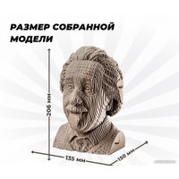 3Д-пазл QBRIX Эйнштейн