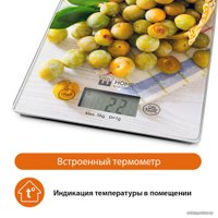 Кухонные весы Home Element HE-SC935 (желтая слива)