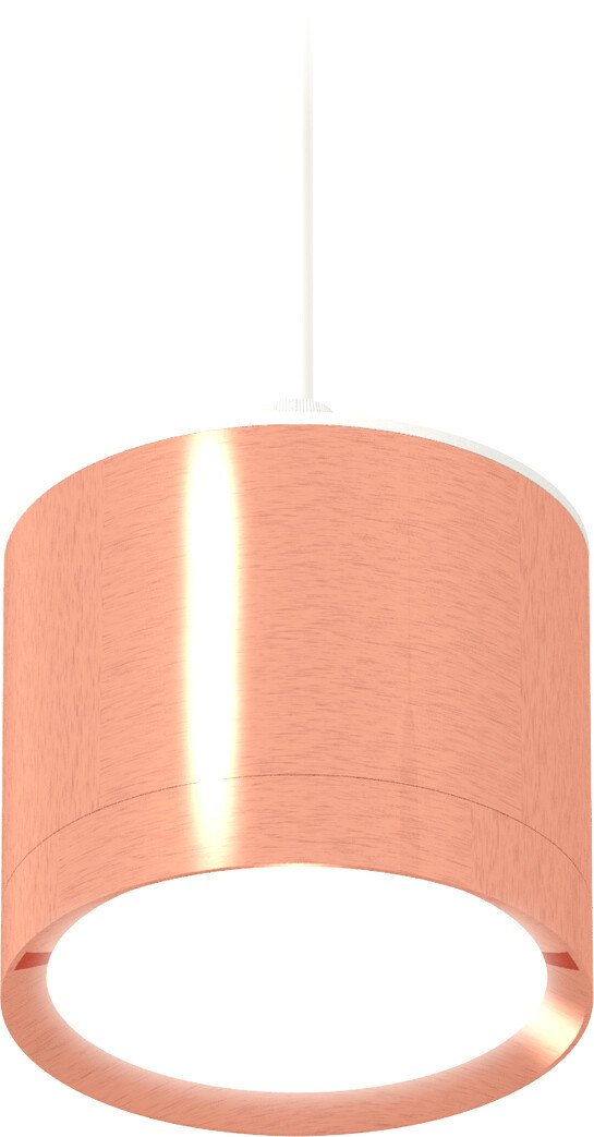 

Подвесная люстра Ambrella light Techno spot XP8122012 PPG/SWH