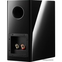 Полочная акустика Dynaudio Evoke 10 (черный рояльный лак)