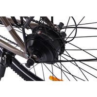 Электровелосипед MyWay Let 1.0 250 26 Pro (титан матовый)