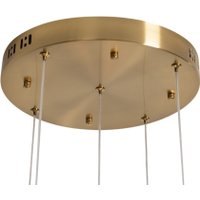 Подвесная люстра Freya Flower FR5579PL-L40BS