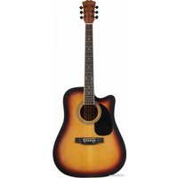 Акустическая гитара Terris TD-045 SB Starter Pack